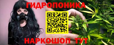 МДПВ Пенза
