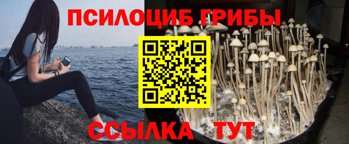 Псилоцибиновые грибы MAGIC MUSHROOMS  Вход с VPN  Сафоново 
